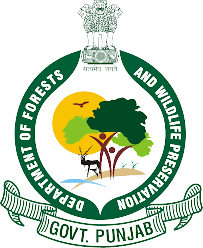 Forest Guard New Vacancy 2022